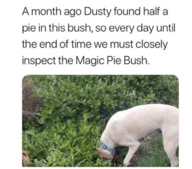Those Are Funny (48 pics)