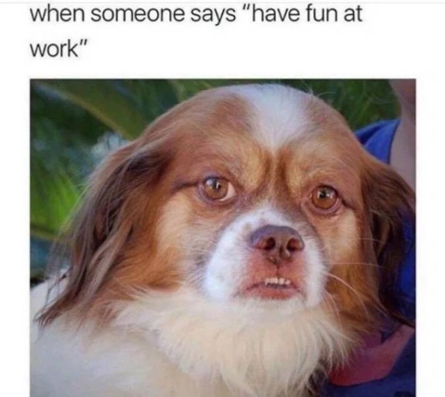 Those Are Funny (48 pics)