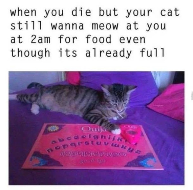 Those Are Funny (48 pics)