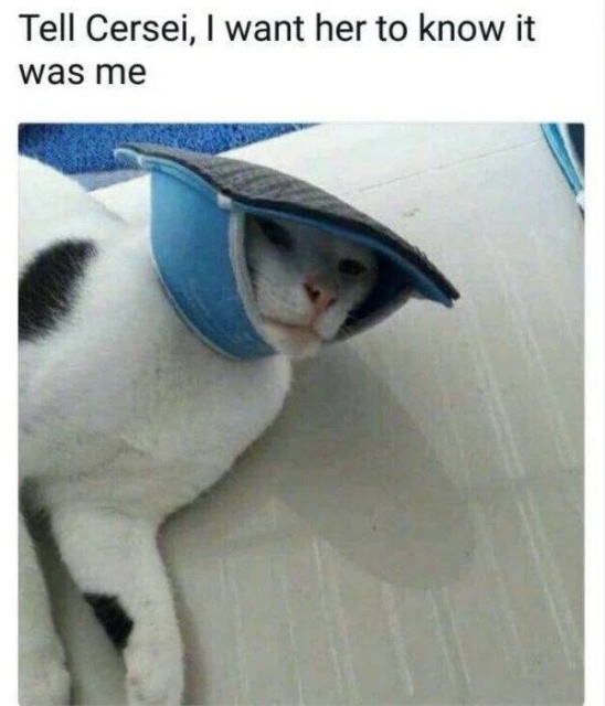 Those Are Funny (48 pics)