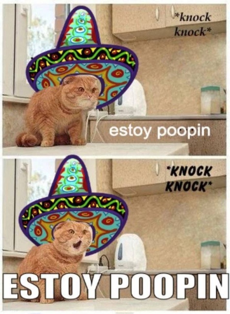 Those Are Funny (48 pics)