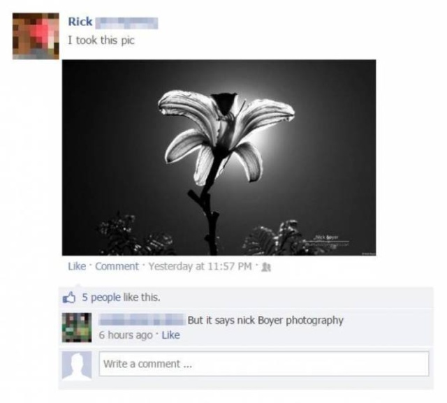 Of Course We Believe You (34 pics)