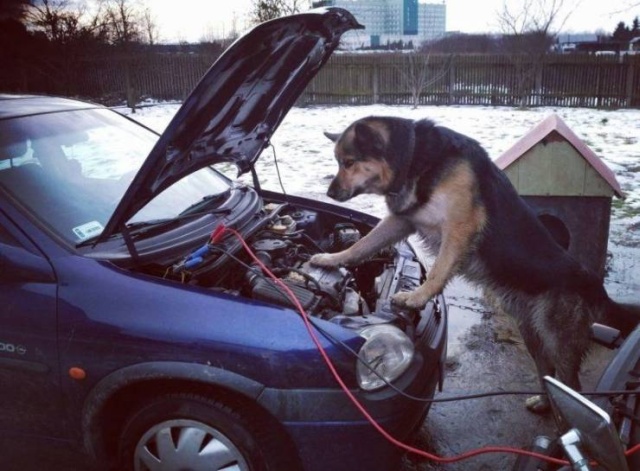 Acid Picdump (102 pics)