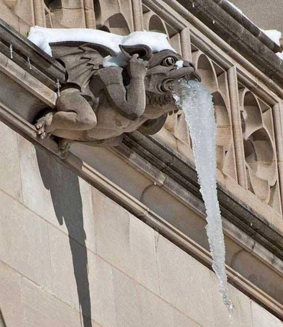 Acid Picdump (102 pics)