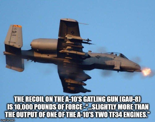 Interesting Facts (50 pics)