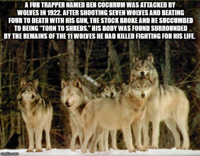 Interesting Facts (50 pics)