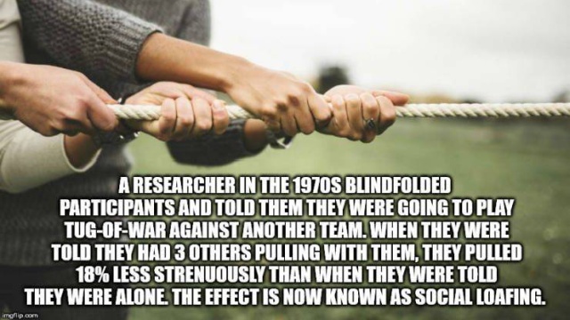 Interesting Facts (50 pics)