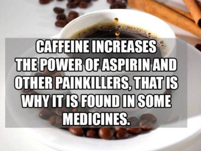Interesting Facts (50 pics)