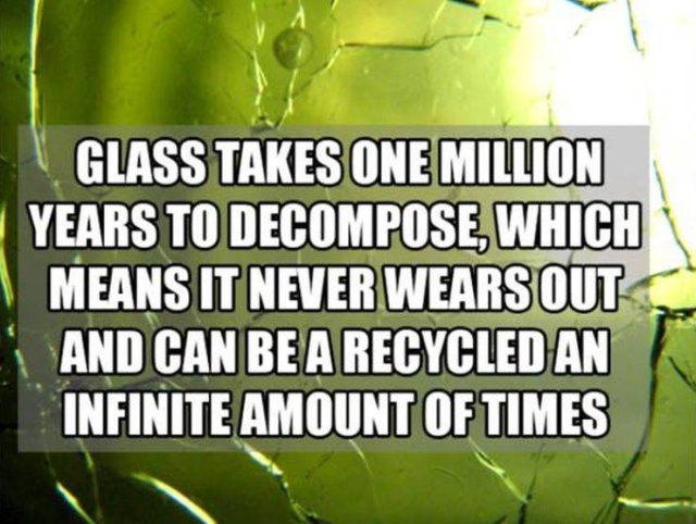 Interesting Facts (50 pics)