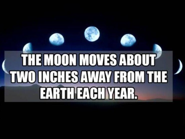 Interesting Facts (50 pics)