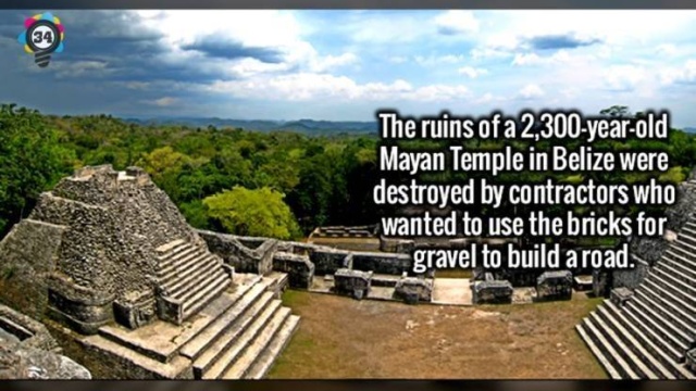 Interesting Facts (50 pics)