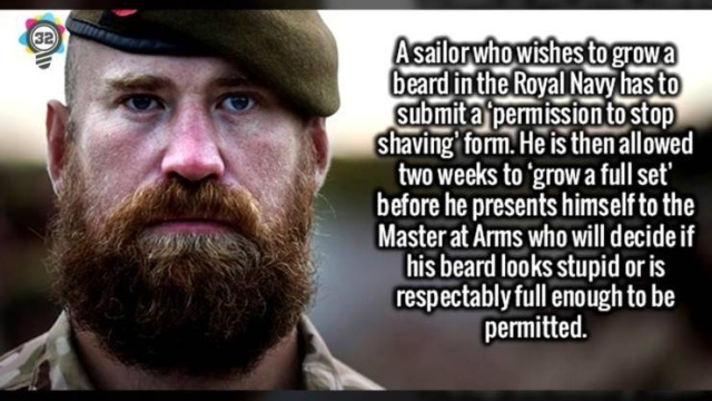 Interesting Facts (50 pics)