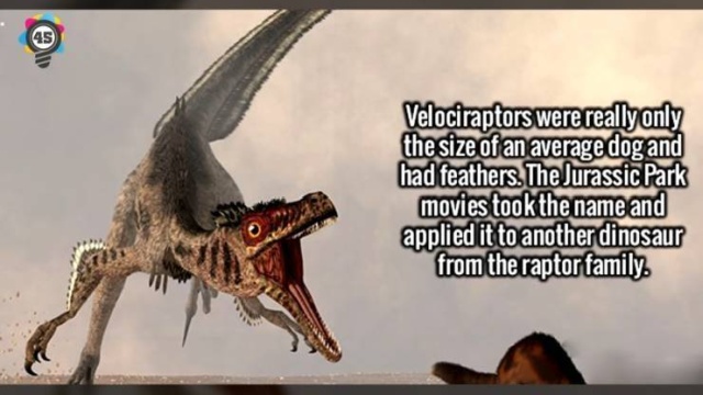 Interesting Facts (50 pics)