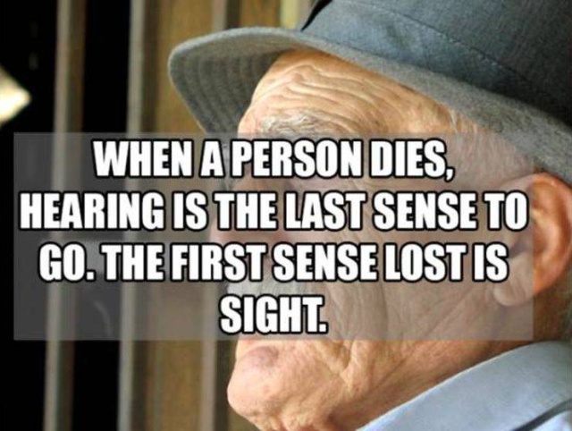 Interesting Facts (50 pics)