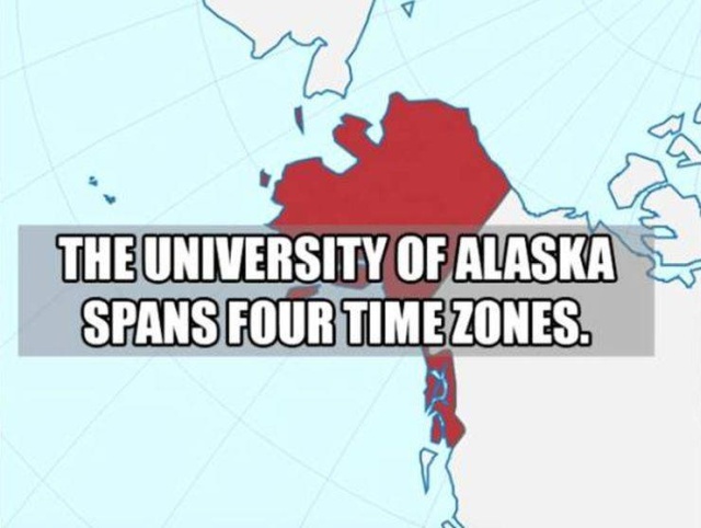 Interesting Facts (50 pics)