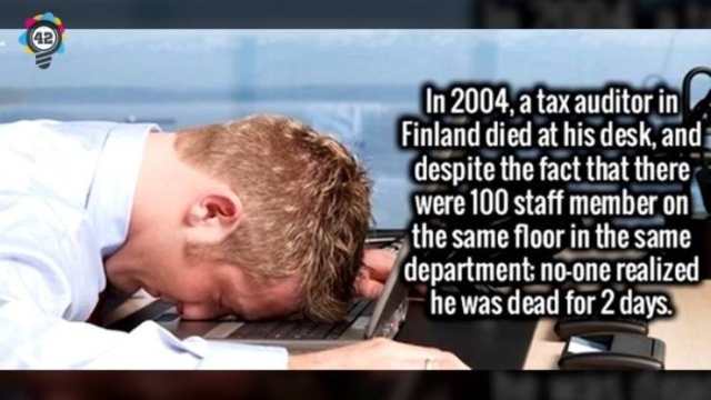Interesting Facts (50 pics)