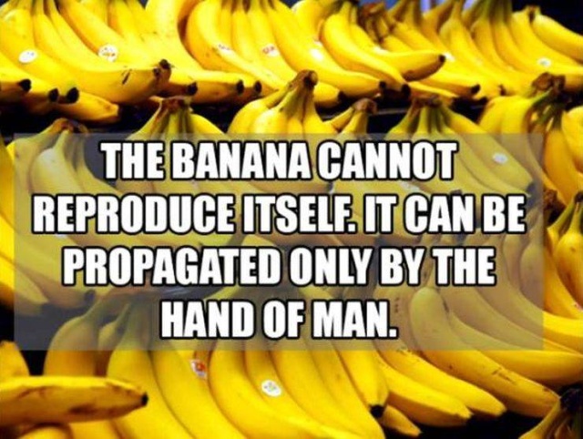 Interesting Facts (50 pics)