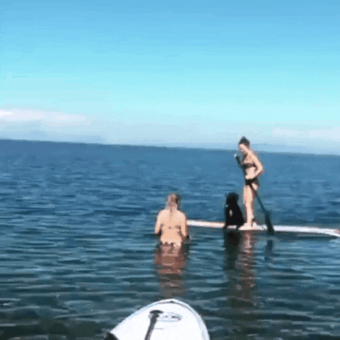 Acid Gifdump, February 14 (25 gifs)