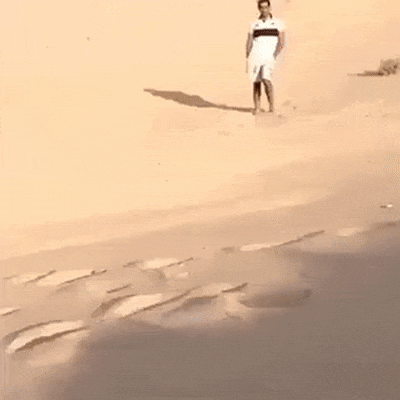 Acid Gifdump, February 14 (25 gifs)