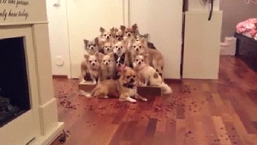 Acid Gifdump, February 14 (25 gifs)