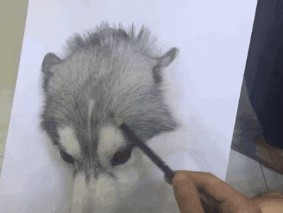 Acid Gifdump, February 14 (25 gifs)