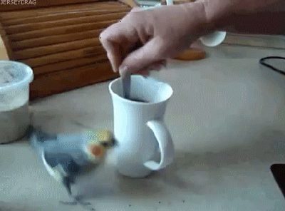 Acid Gifdump, February 14 (25 gifs)