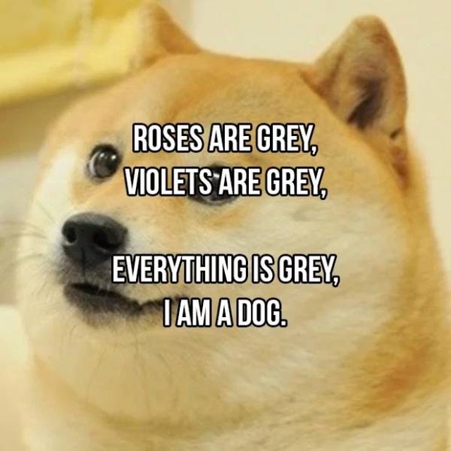 Inappropriate "Roses Are Red" Poems (16 pics)