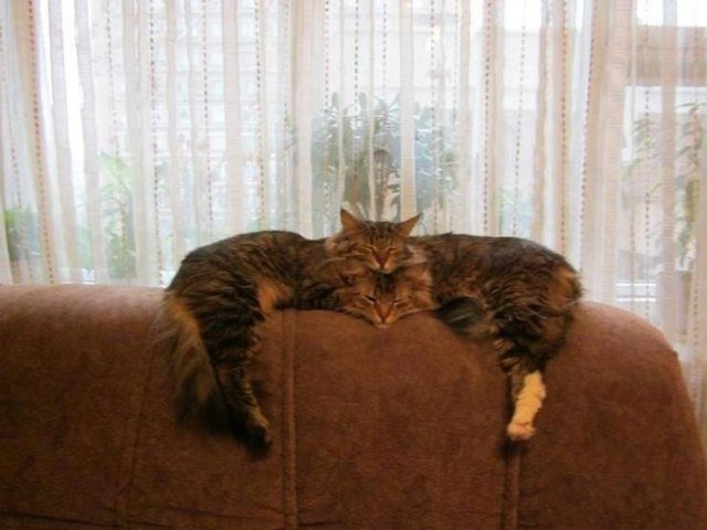 It Doesn't Look Right (33 pics)