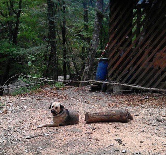 It Doesn't Look Right (33 pics)