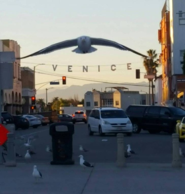 It Doesn't Look Right (33 pics)