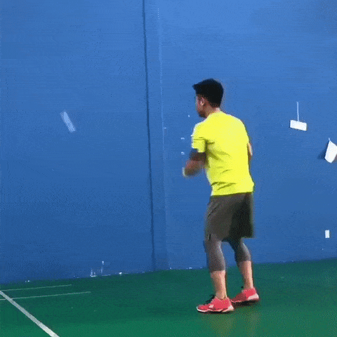 Talented People (32 gifs)