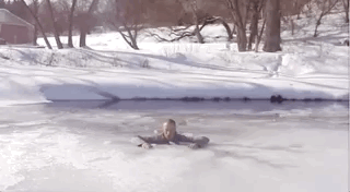 What You Need To Do If You Happen To Fall Through Ice (12 gifs)