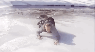 What You Need To Do If You Happen To Fall Through Ice (12 gifs)