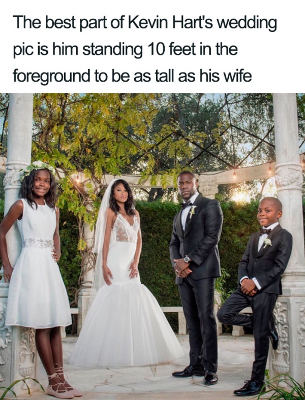 Wedding Memes. Part 2 (25 pics)