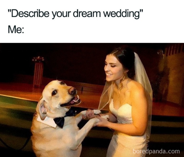 Wedding Memes. Part 2 (25 pics)