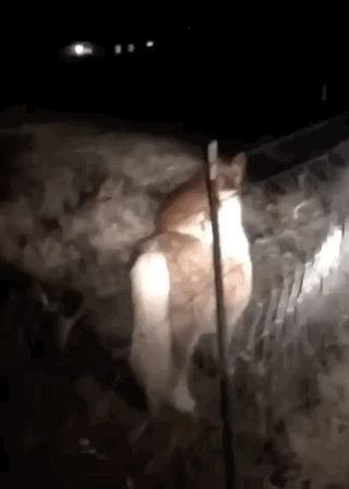 I Must Go, My People Need Me (17 gifs)