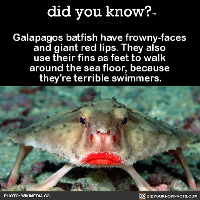 Interesting Facts (20 pics)