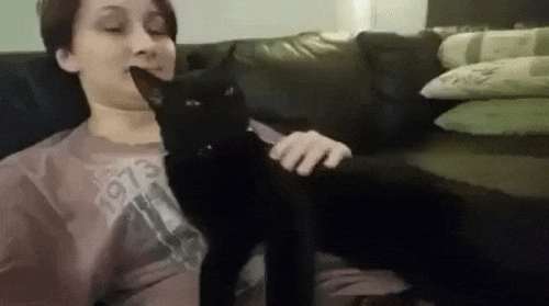 Acid Gifdump, February 15 (25 gifs)