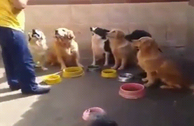 Acid Gifdump, February 15 (25 gifs)