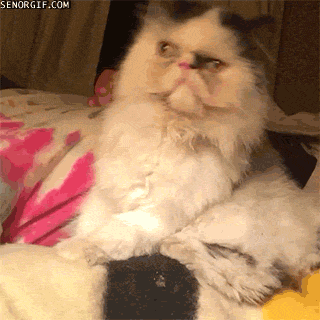 Acid Gifdump, February 15 (25 gifs)