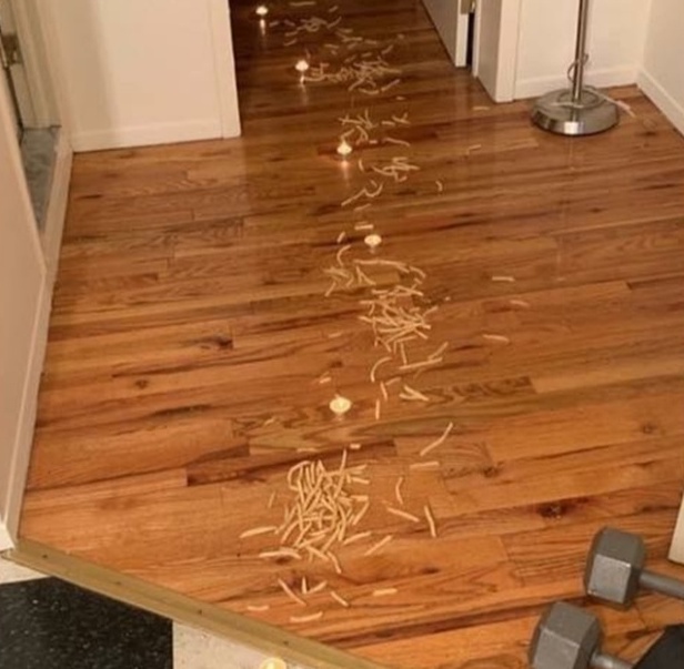 French Fry Trail To The Bed (3 pics)