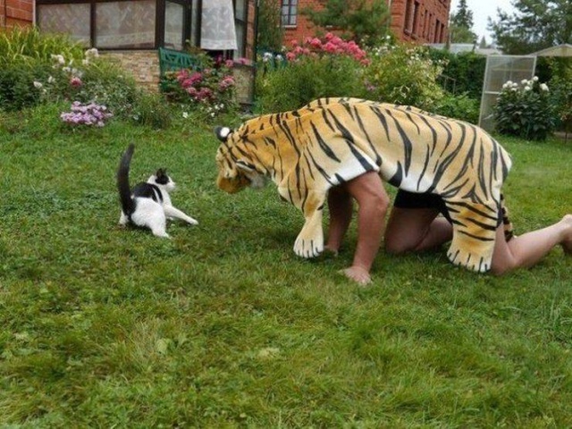 Acid Picdump (97 pics)
