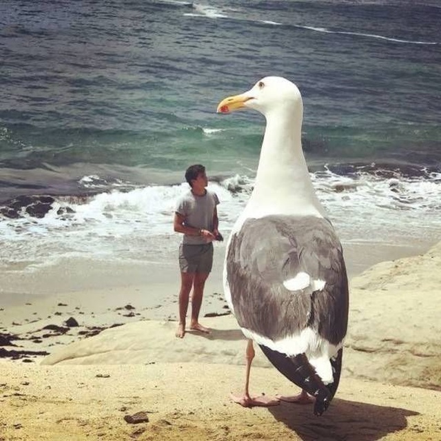Acid Picdump (97 pics)