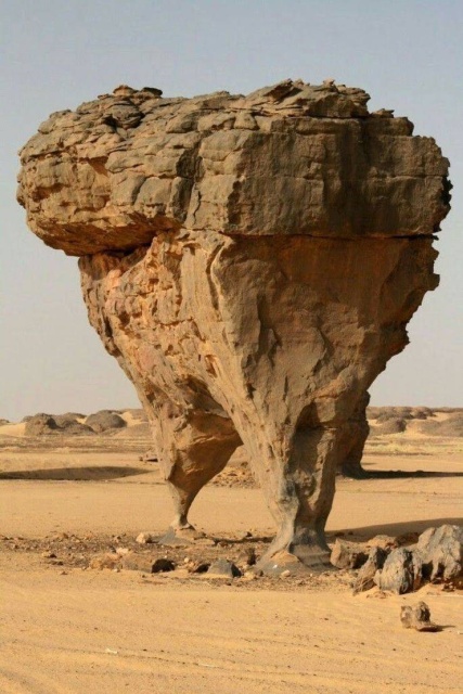 Acid Picdump (97 pics)