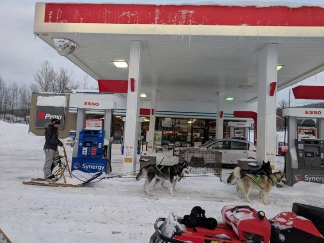 Acid Picdump (97 pics)