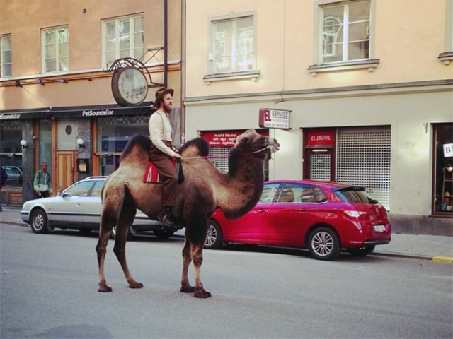 Extreme Hipsters (14 pics)