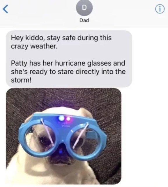 Dads Are Cool (21 pics)
