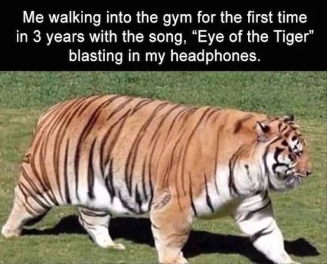 So True (56 pics)