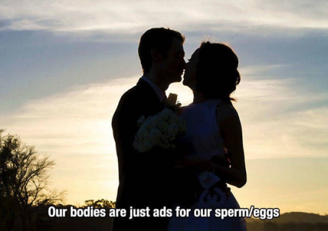 So True (56 pics)