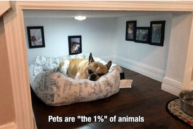 So True (56 pics)
